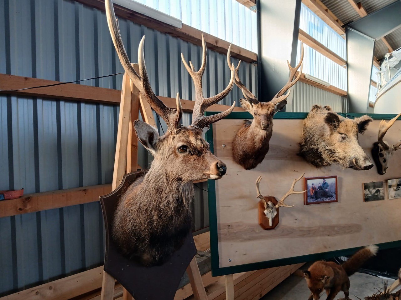 Mehr über den Artikel erfahren 100 Jahre im Zeichen der Jagd – Hegering II