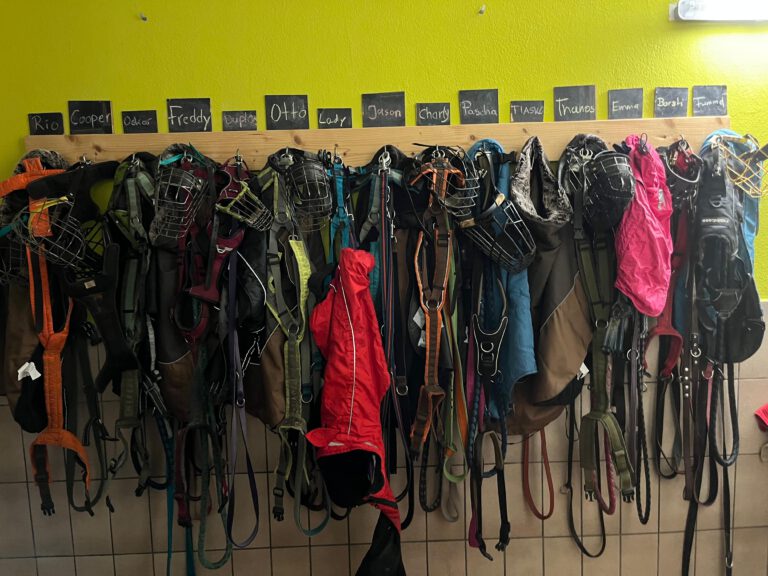 Foto 24.10.25, 20 06 00 (2) (1)