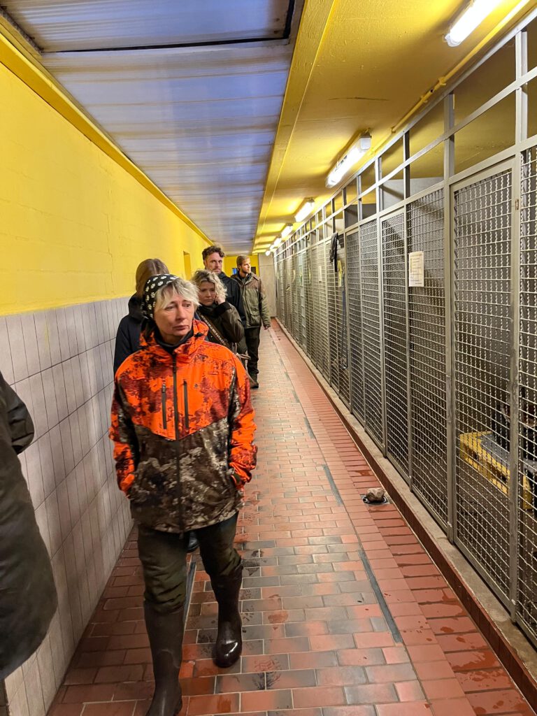 Foto 24.10.25, 20 06 00 (2)