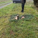 Foto 26.11.25, 11 42 52