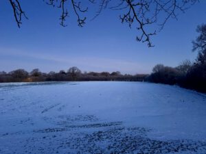 22feaef6-5ca7-4a9e-bfc6-2cc3a26ed831