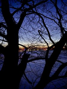 55757c03-61c4-433f-94ca-d312c9eb7ef0