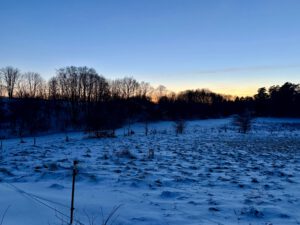 6ECDC4F3-D5C0-469E-81A1-69BD40A2B2CC