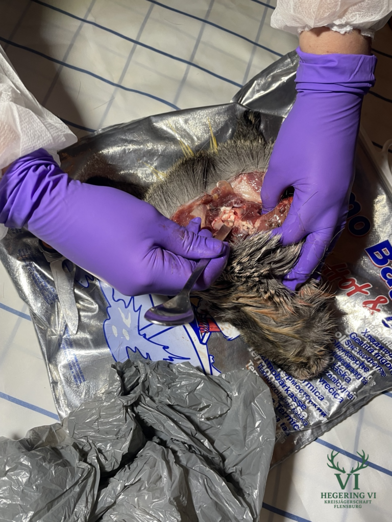 Foto 21.03.26, 08 48 14 (2) (1)