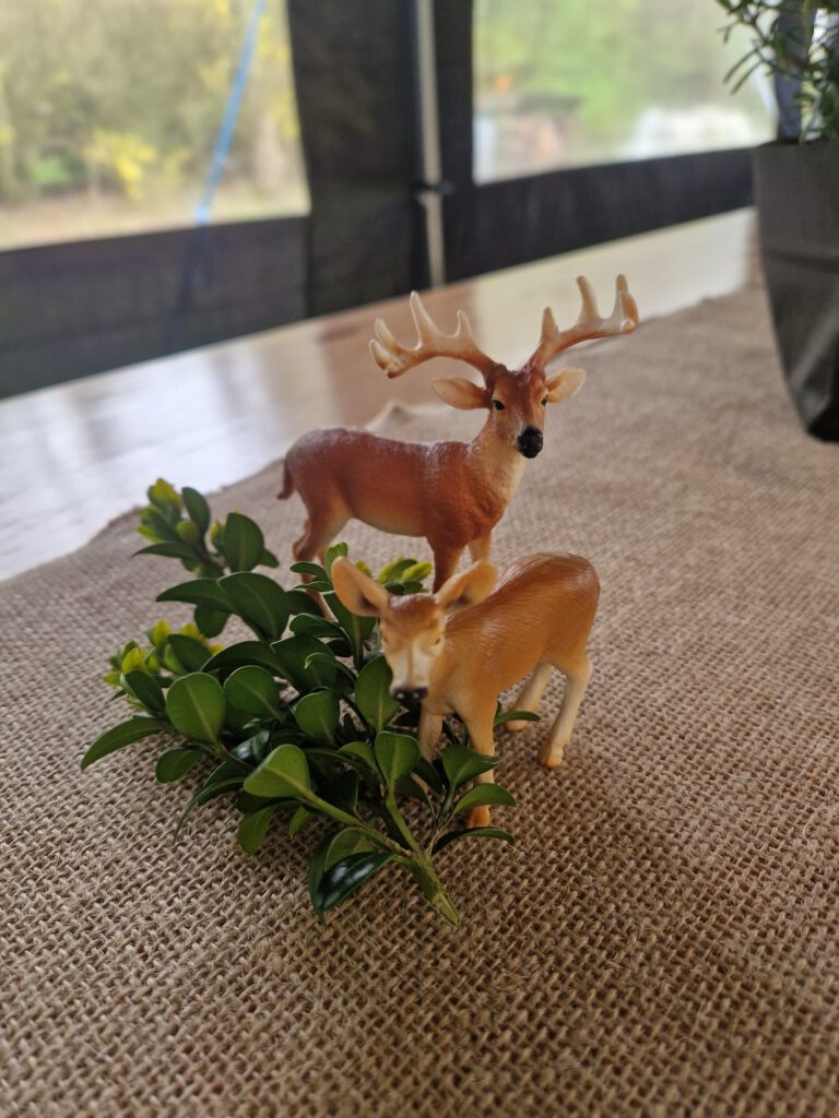 ce232bfe-4a88-48d4-a2dd-de1967052d40