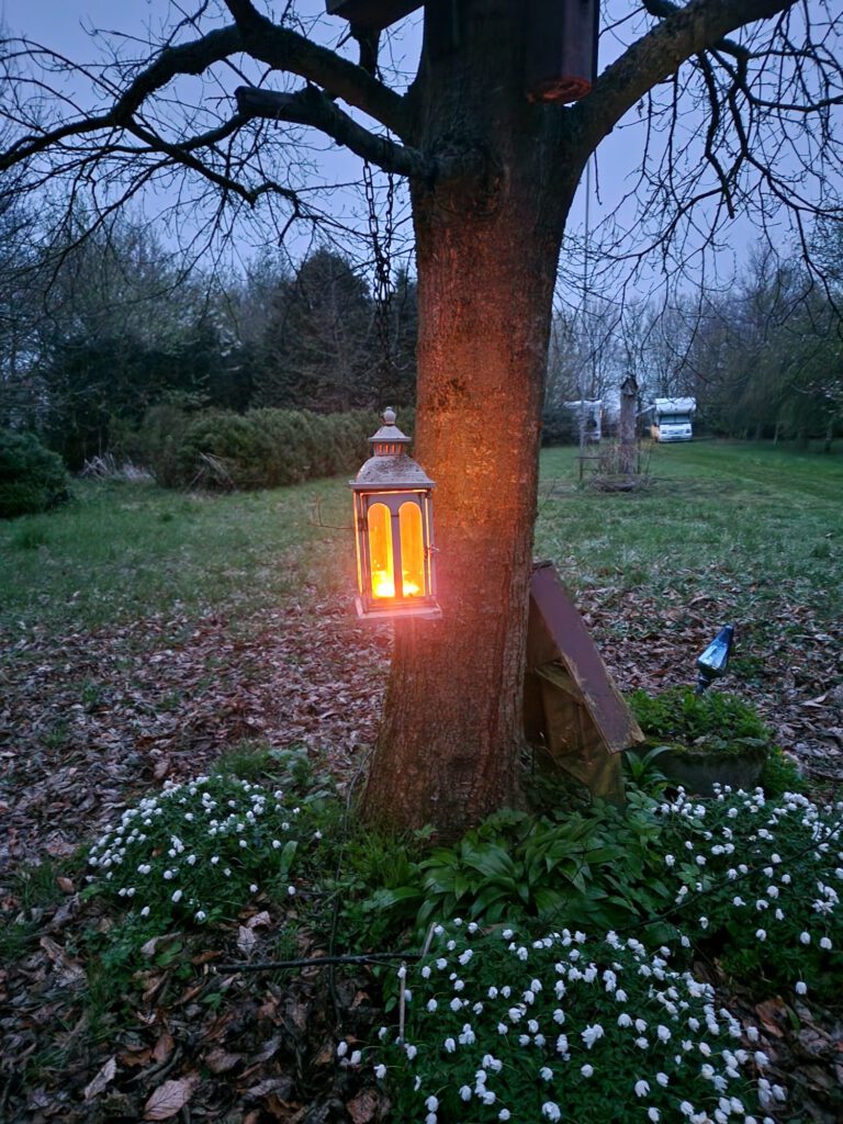 e1a5ea3f-5883-4184-a78f-5fb22b6a6e7e