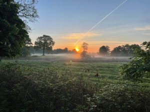 Foto 25.05.26, 18 26 08